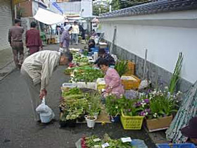 勝浦朝市